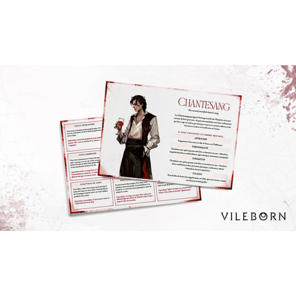 Vileborn - Coffret collector sans dés