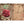 Charger l'image dans la galerie, Fruits du Démon, l'Encyclopédie
