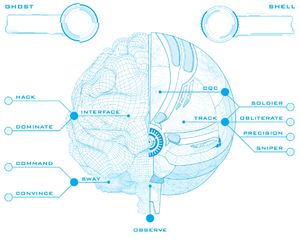 Ghost In The Shell - Cybercerveau