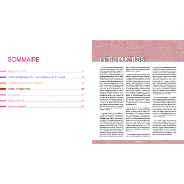 Hentai ! Érotisme et pornographie au Japon