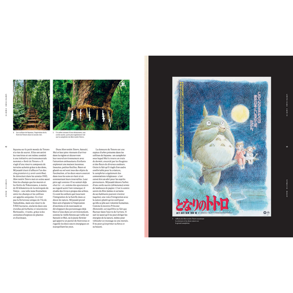 Les Mondes de Hayao Miyazaki