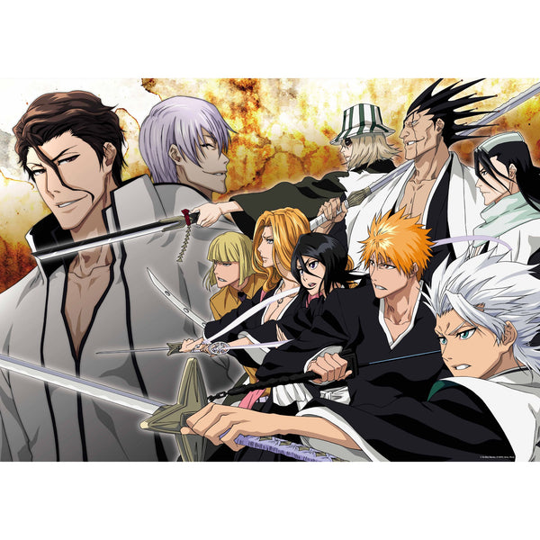 Puzzle Bleach