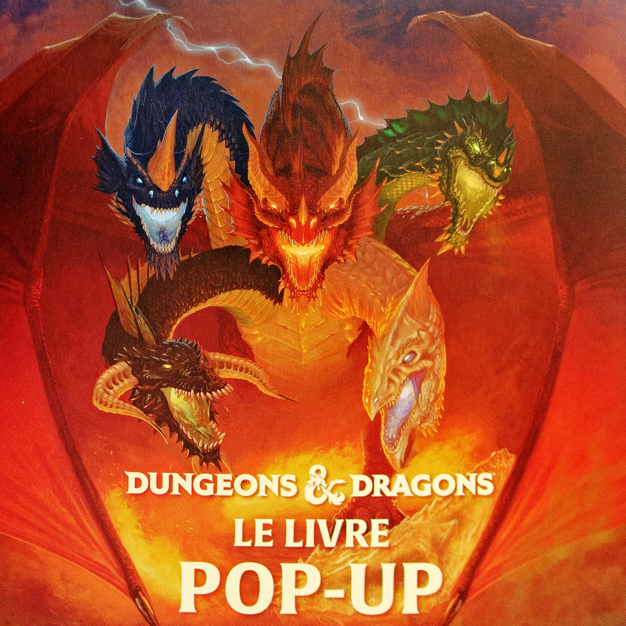 Dungeons & Dragons : livre pop-up